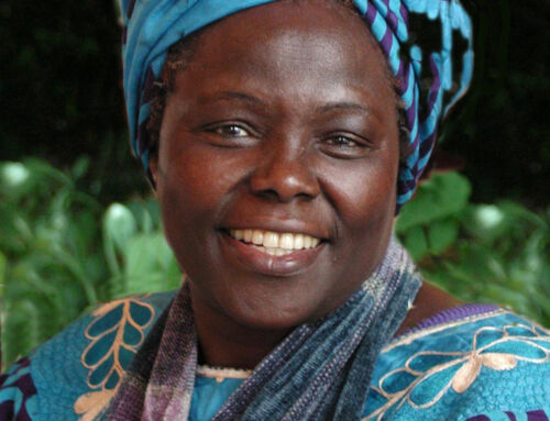 Wangari Maathai, la grande attivista politica che ha vinto il Nobel per la pace