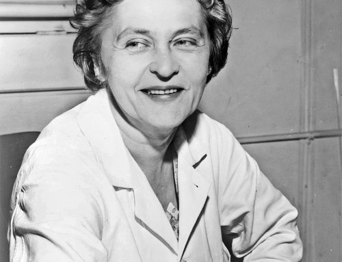 Mária Telkes, la Regina del Sole