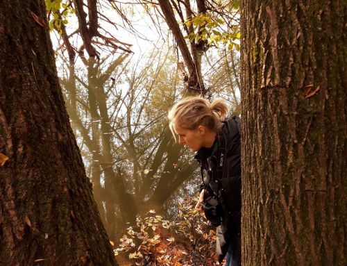 L’arte del silenzio tra memoria e natura. Intervista a Francesca De Pieri