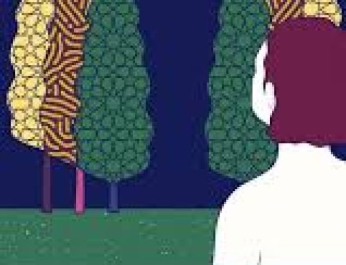 Nel cuore del gatto – Jina Khayyer